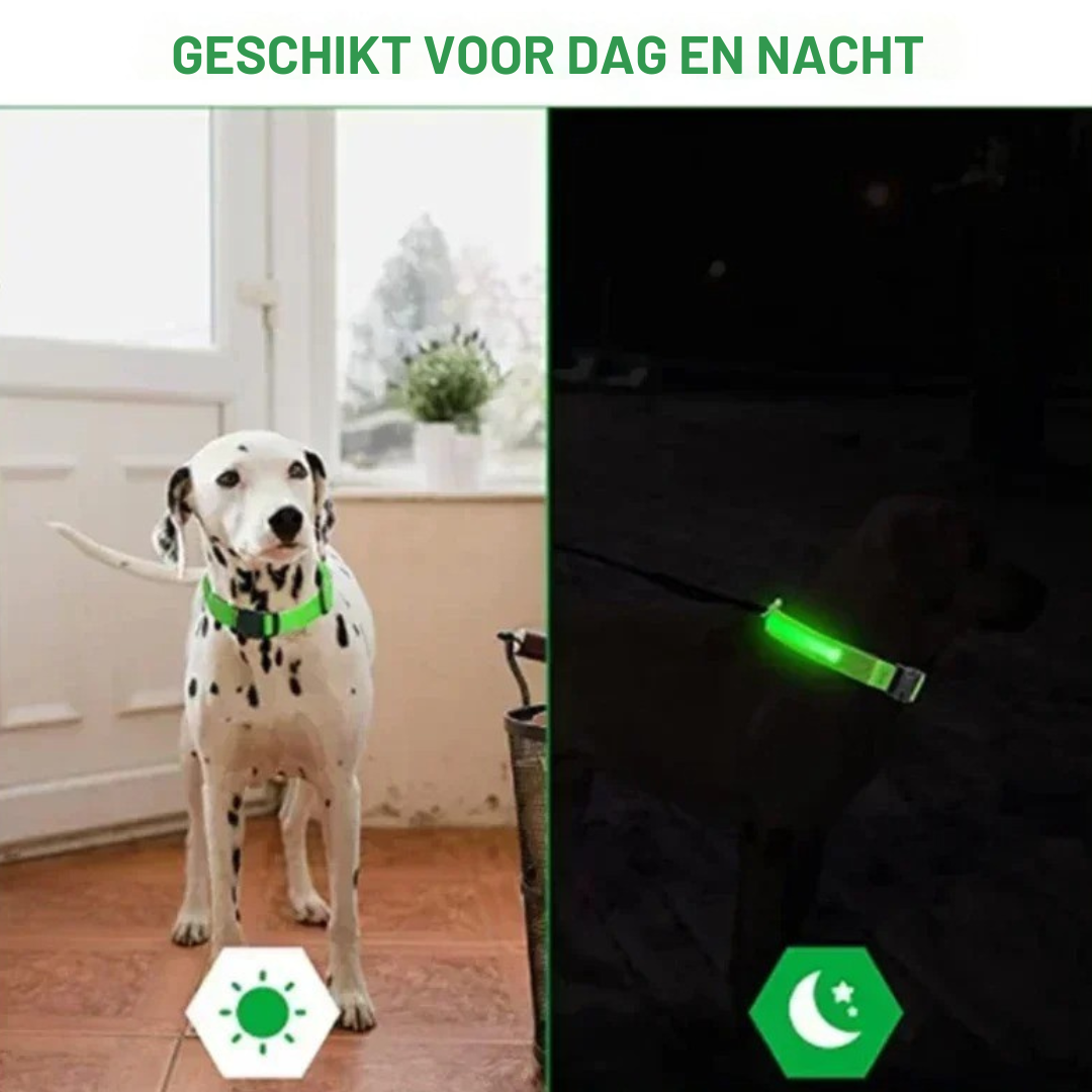 BrightBuddy™ | Zichtbaar en veilig in het donker!