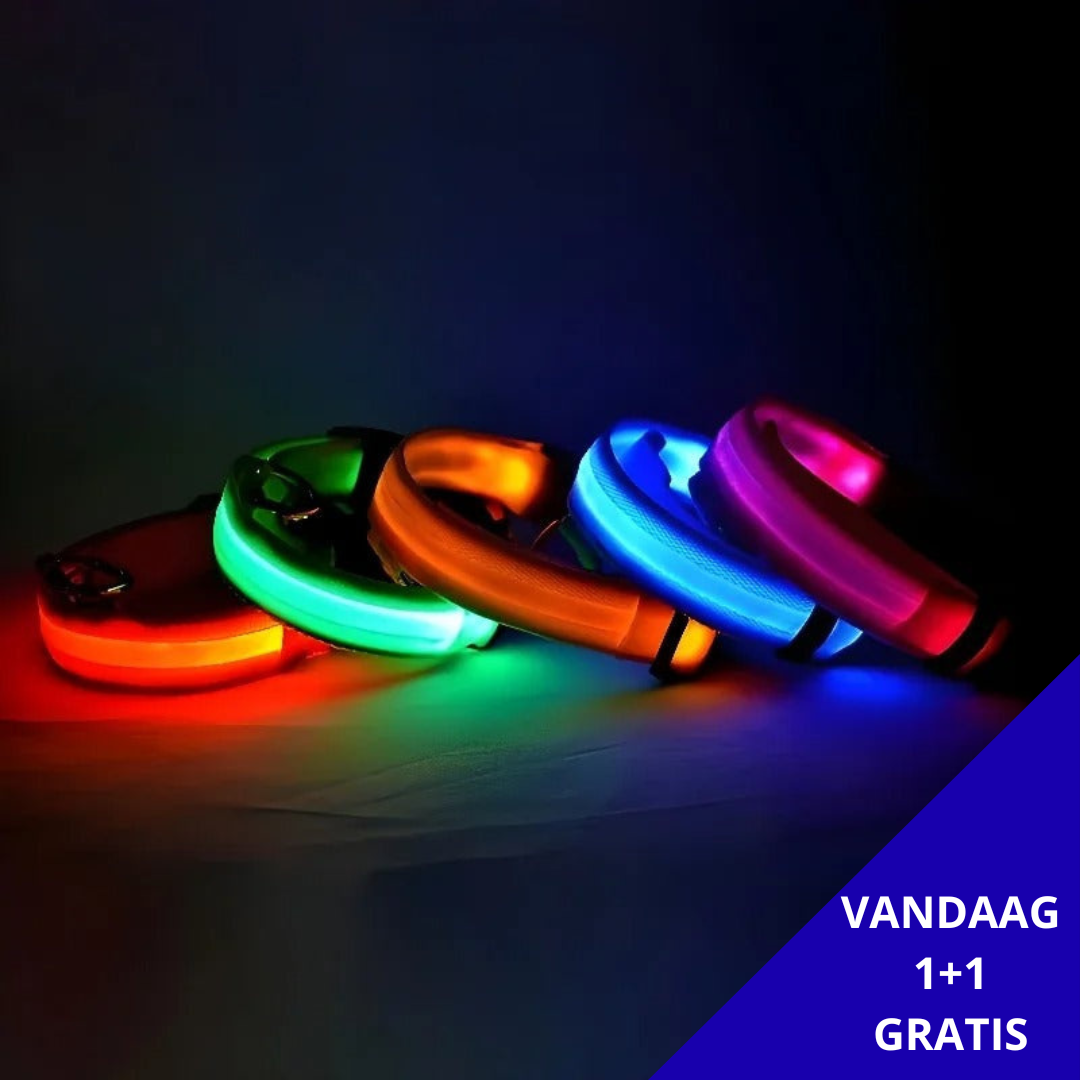 BrightBuddy™ | Zichtbaar en veilig in het donker!