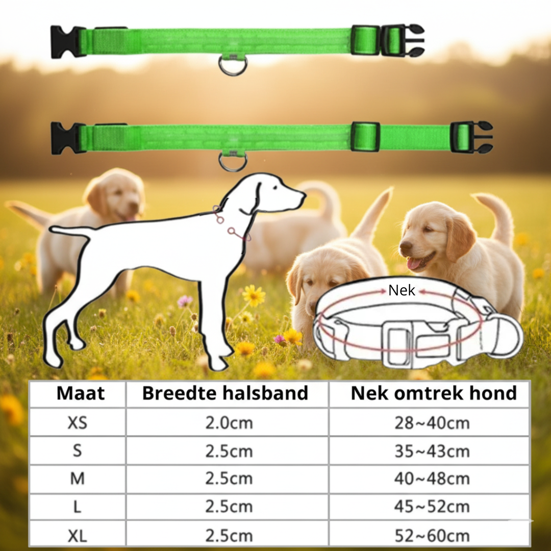 BrightBuddy™ | Zichtbaar en veilig in het donker!