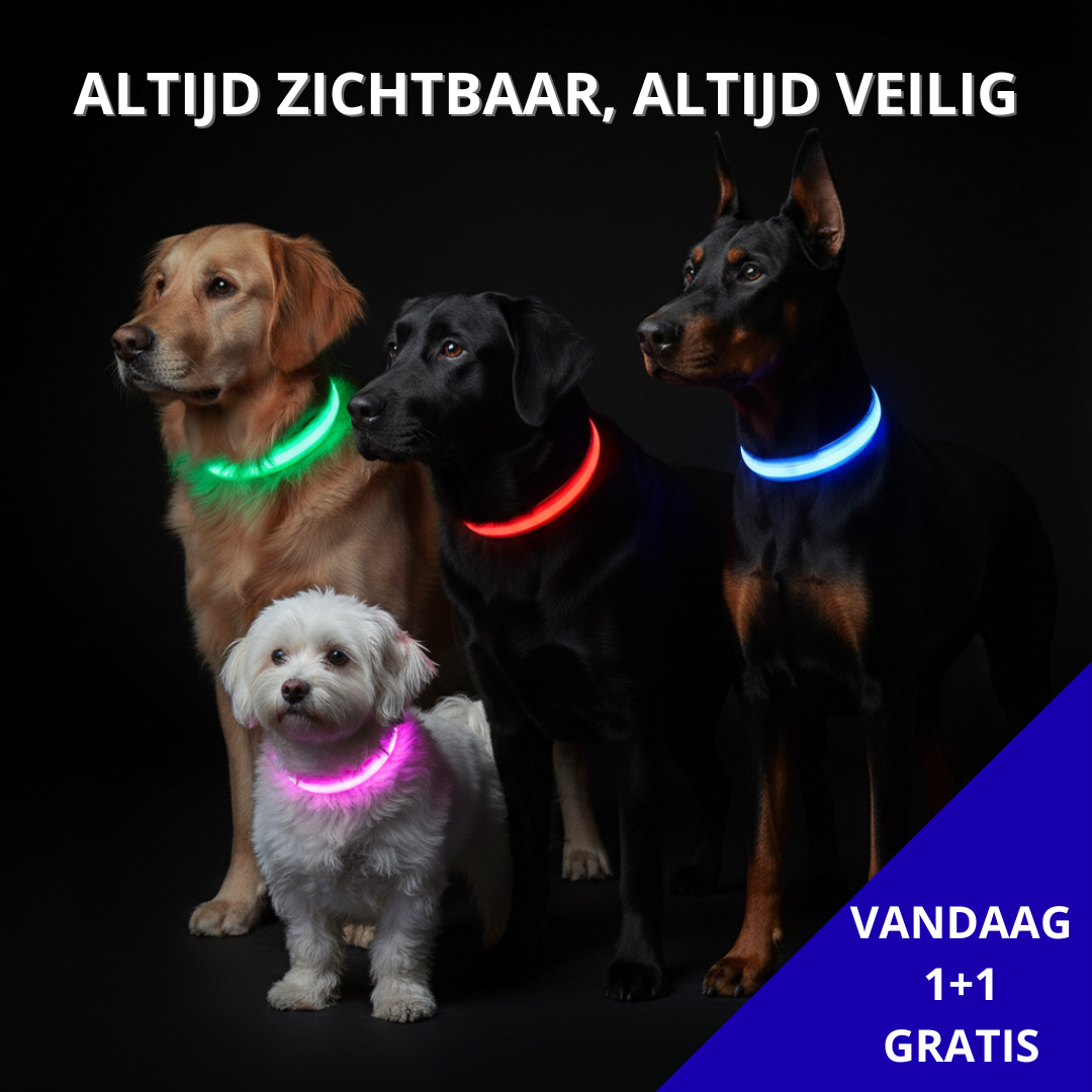 BrightBuddy™ | Zichtbaar en veilig in het donker!