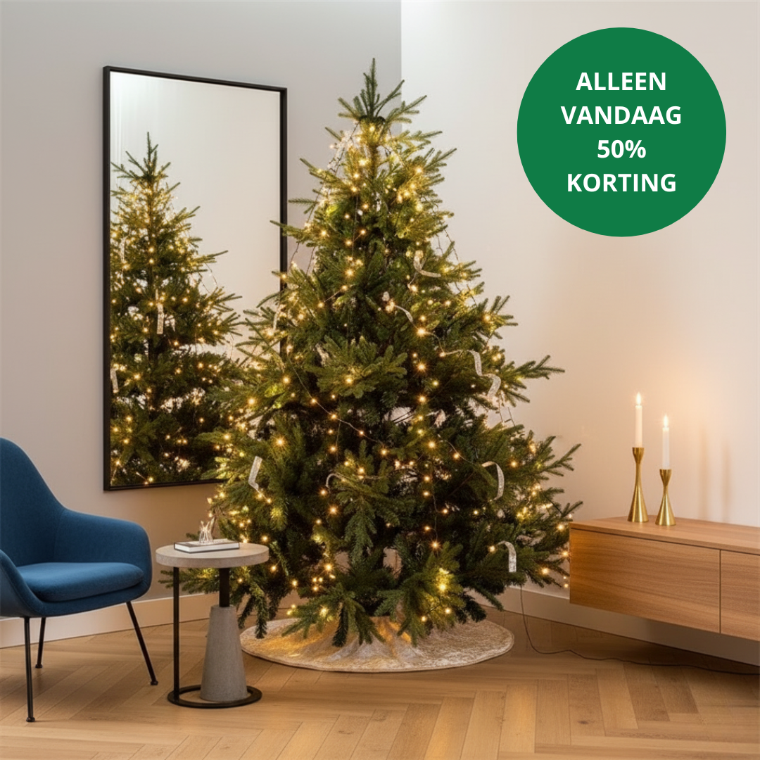 EverGlow™ | Geen gedoe meer met kerstverlichting